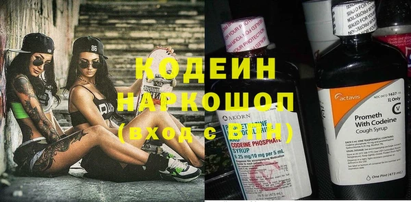 ПСИЛОЦИБИНОВЫЕ ГРИБЫ Ельня