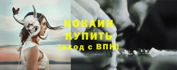 ПСИЛОЦИБИНОВЫЕ ГРИБЫ Ельня