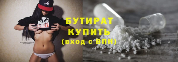 ПСИЛОЦИБИНОВЫЕ ГРИБЫ Ельня