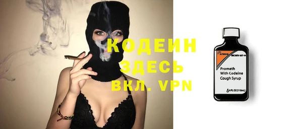ПСИЛОЦИБИНОВЫЕ ГРИБЫ Ельня