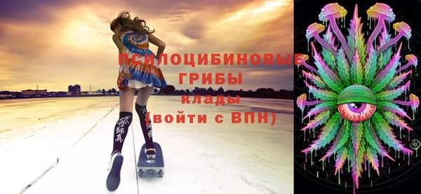 mdpv Елизово