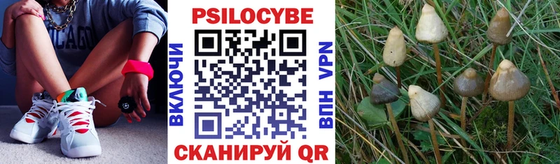 Псилоцибиновые грибы MAGIC MUSHROOMS  Купить  Таштагол 