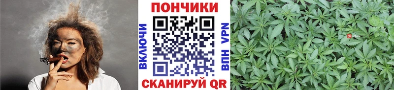Бошки Шишки Amnesia  Купить где  Таштагол 